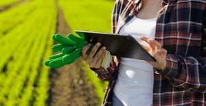 Reforma Tributária: Impacto no Agronegócio e a importância da tecnologia