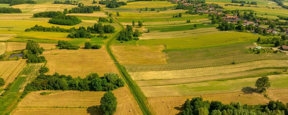 Fiscalização ambiental intensifica; agro precisa se adaptar para evitar multas