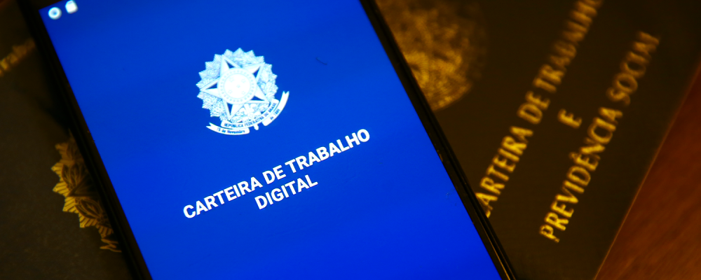 Regime celetista e estatutário: veja diferenças e regras